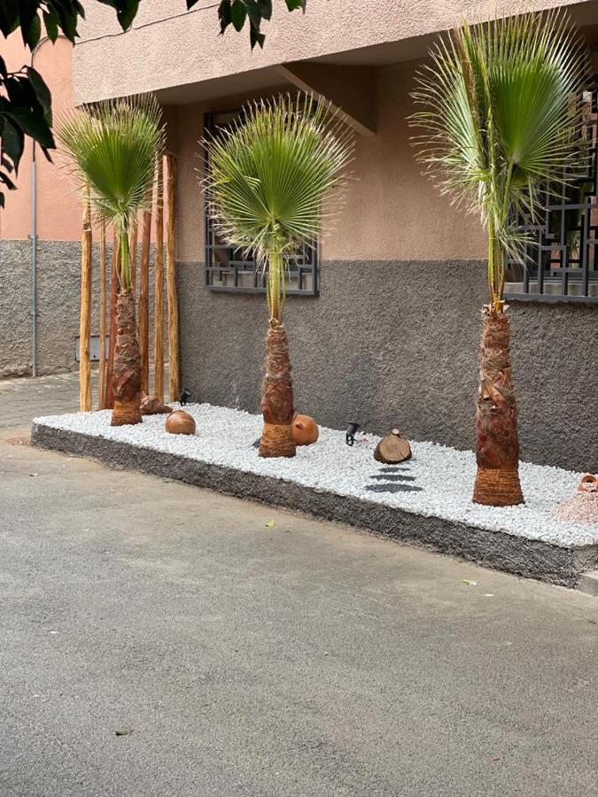 Riad La Petite Majorelle مراكش المظهر الخارجي الصورة
