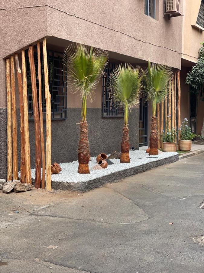 Riad La Petite Majorelle مراكش المظهر الخارجي الصورة